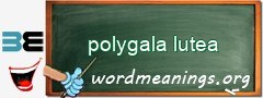 WordMeaning blackboard for polygala lutea